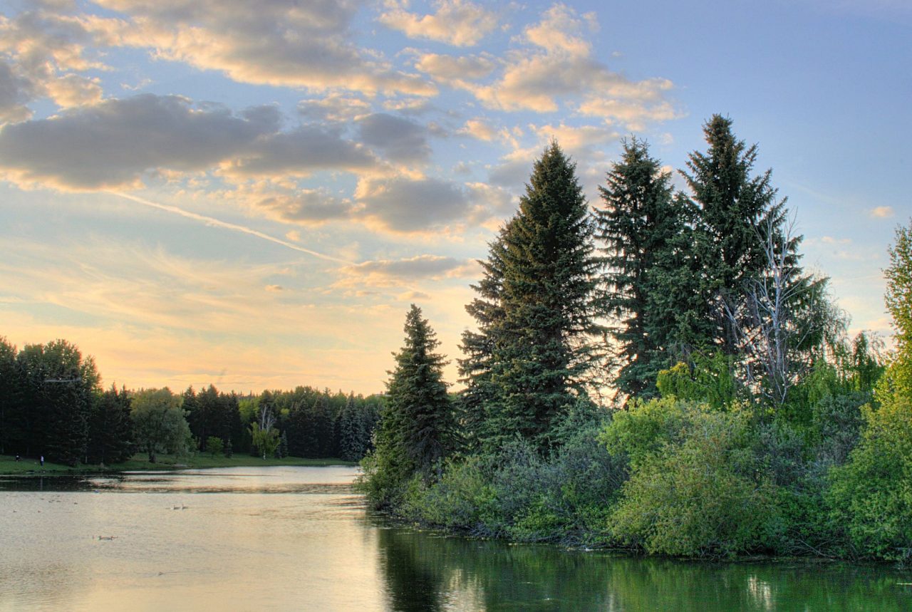 Lake and trees in Canada